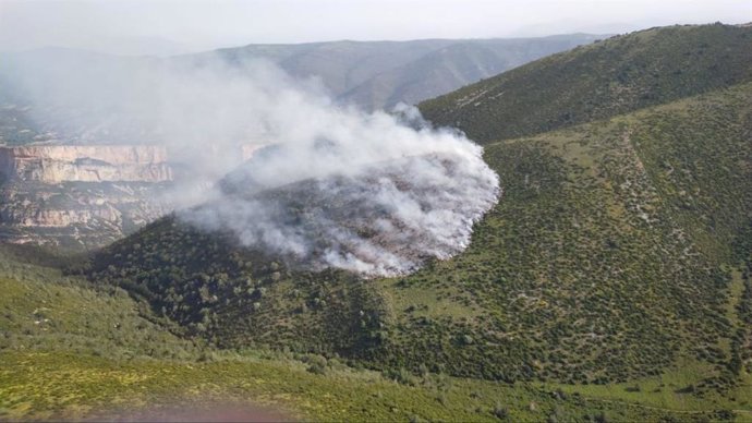 Zona afectada por el incendio de Belsué (Huesca)