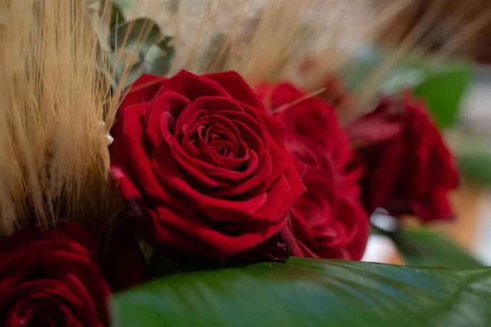 Archivo - El Curso de Especialización de Grado Medio de Floristería y Arte Floral será una de las novedades en la provincia de cara al próximo curso. 