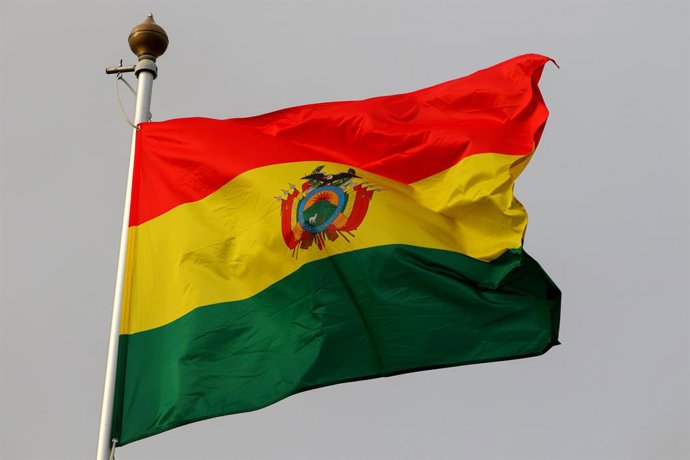 Archivo - Arquivo - 2 de novembro de 2023, São Petersburgo, Rússia: A bandeira nacional do Estado Plurinacional da Bolívia como país participante do 12º Fórum Internacional de Gás de São Petersburgo