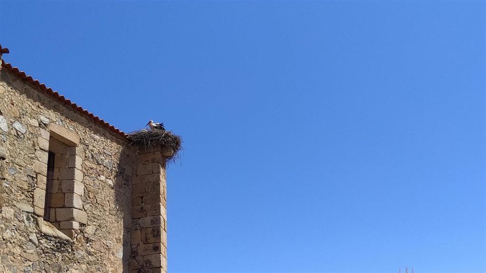 Archivo - Una cigüeña en su nido en una iglesia un día con cielos despejados. Imagen de archivo