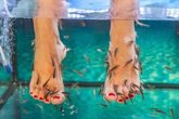 Foto: Fish spa: ¿cuidado de lujo o riesgo innecesario para tus pies?