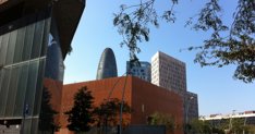 Aldia economies