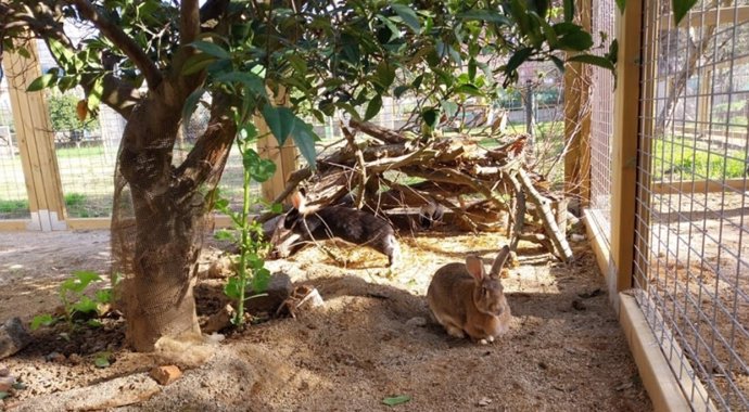 Un dels espais renovats a les granges urbanes de Barcelona