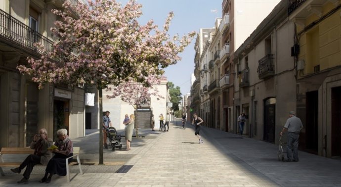 Proyecto de la reforma