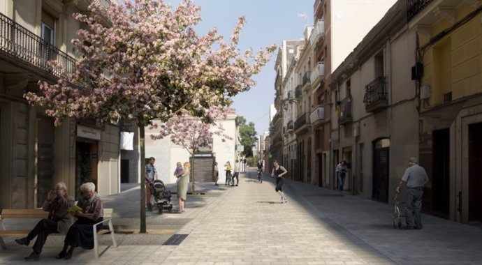 Projecte de la reforma