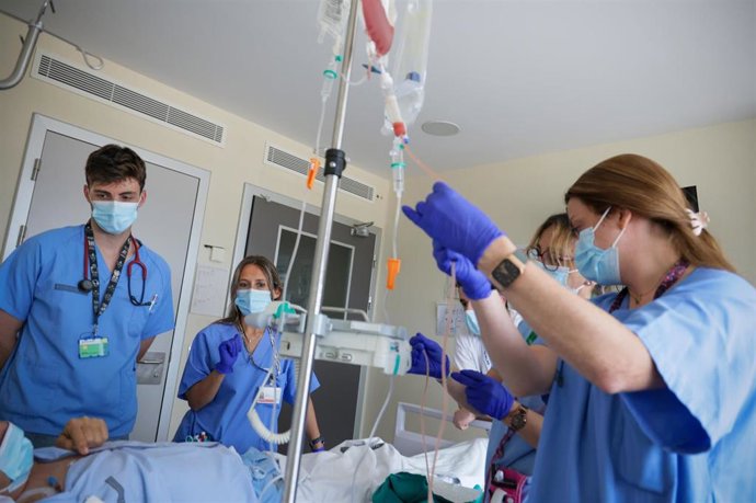 El Hospital La Fe supera los 100 trasplantes de médula ósea de donante en pacientes adultos en un año