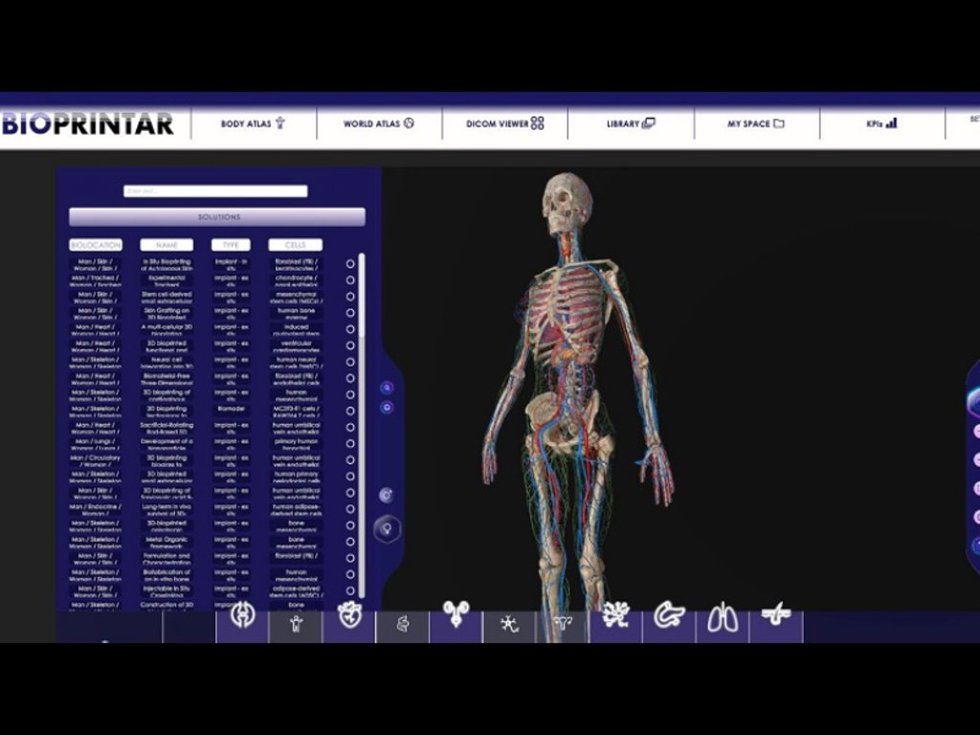 Software de Biorem