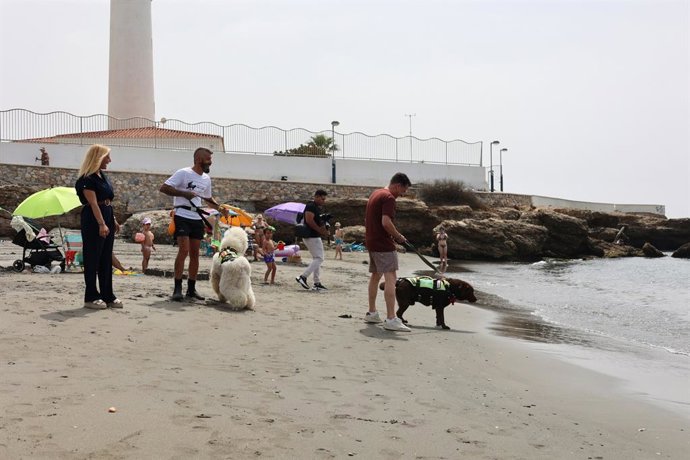 El alcalde ha subrayado que se siente "especialmente orgulloso de que Torrox haya sido el primer municipio de España en licitar para el servicio perros especializados en rescate acuático".