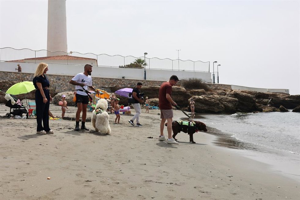 El alcalde ha subrayado que se siente "especialmente orgulloso de que Torrox haya sido el primer municipio de España en licitar para el servicio perros especializados en rescate acuático".