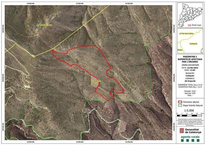 Zona afectada por el incendio