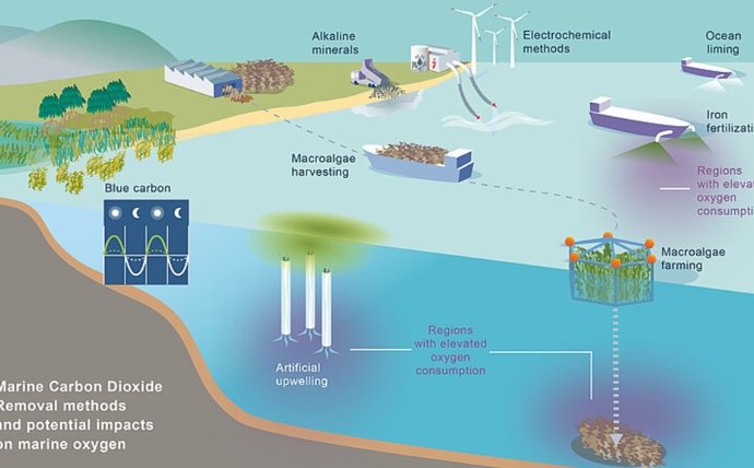 Métodos de remoção de dióxido de carbono marinho (mCDR) e seu possível impacto no oxigênio marinho.