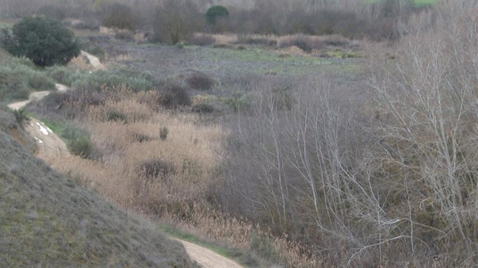 Archivo - Arquivo - Paraje de Carranque (Toledo), onde poderiam estar os restos mortais de Heidy Paz, a jovem assassinada em agosto de 2018 por César Román, conhecido como "El Rey del Cachopo" (O Rei do Cachopo).