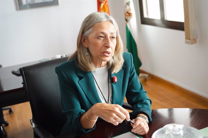 La consejera de Salud y Consumo, Rocío Hernández, en una imagen de archivo 
