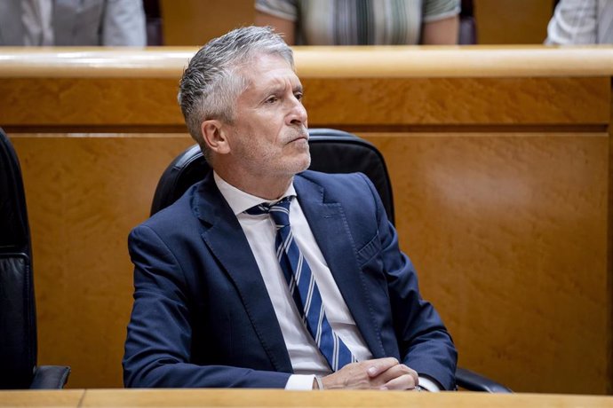 El ministro del Interior, Fernando Grande-Marlaska, durante una sesión de control al Gobierno en el Senado el pasado 10 de junio. 