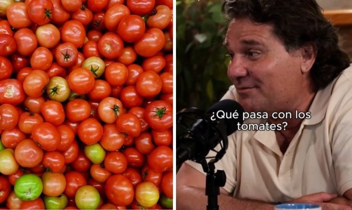 ¿Por Qué Los Tomates No Saben Como Antes?: Un Catedrático De Bioquímica Apunta A Tres Responsables Clave Del Cambio