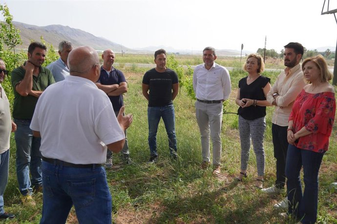 El senador del PP por la Región de Murcia, Antonio Luengo; la diputada Violante Tomás y la alcaldesa de Jumilla, Seve González, reunidos con miembros de organizaciones agrarias y agricultores de la zona afectada