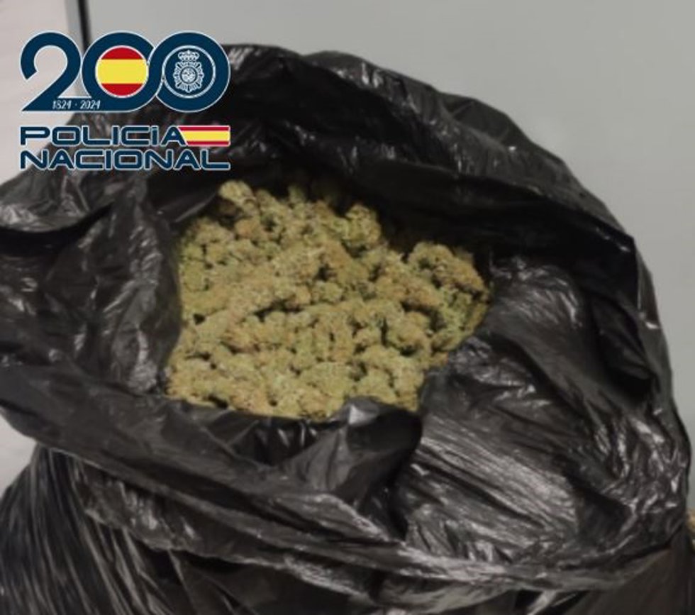 Marihuana intervenida en una de las dos operaciones en que se han producido las detenciones