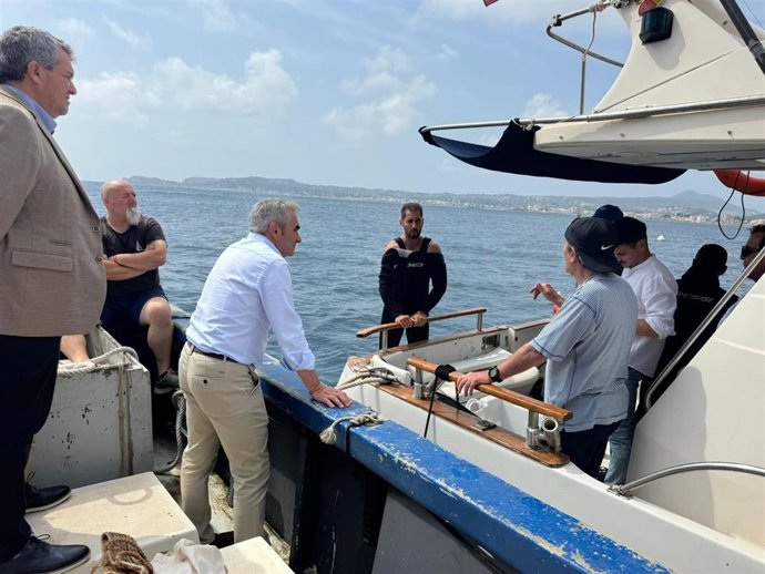 Imagen de la suelta de una tortuga