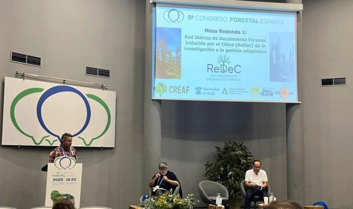 El programa del 9º Congreso Forestal Español incluye mesas debate, talleres y viajes técnicos, entre otras actividades.