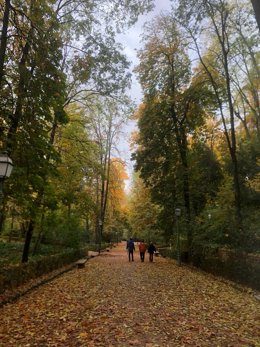 Archivo - Bosque de Gomérez, en la Alhambra, en imagen de archivo
