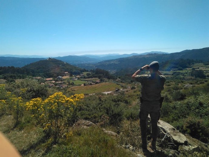 Archivo - Operación Centinela Gallego