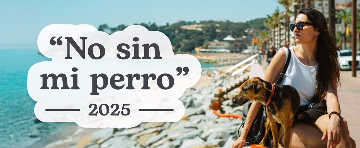 Guía de alojamientos Pet Friendly en España: dónde viajar con tu perro