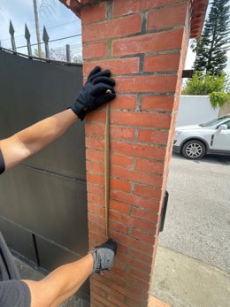 Cobra venenosa presa em uma casa em Algeciras