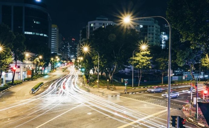 A luz artificial urbana prolonga o período de crescimento das árvores.