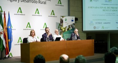 Es Andalucía - Sevilla