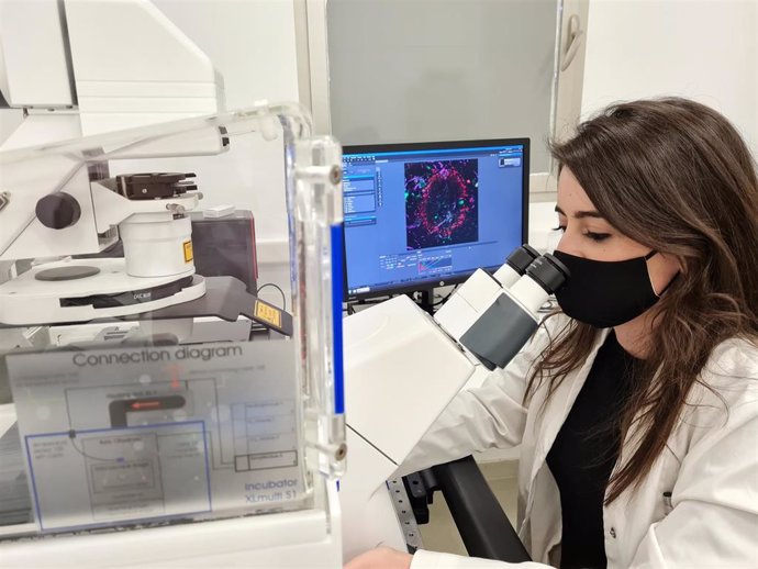 Archivo - Una investigación de la UCLM identifica las proteínas responsables de la muerte neuronal y la inflamación en el alzhéimer.