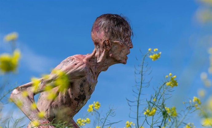 Archivo - Danny Boyle adelanta el regreso de Cillian Murphy en la nueva trilogía de 28 años después... Que lanza tráiler