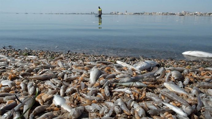 Mar Menor, 2019.