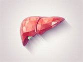 Foto: Estas son las principales causas del cáncer de hígado en España, según un estudio nacional