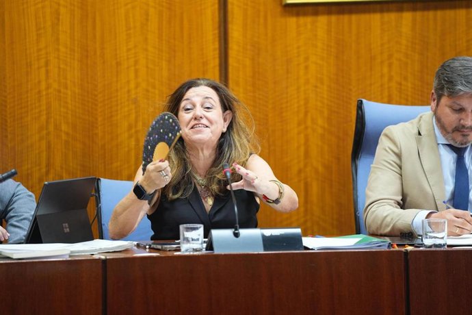 La consejera de Desarrollo Educativo y Formación Profesional, María del Carmen Castillo, en la comisión parlamentaria del 17 de junio de 2025.