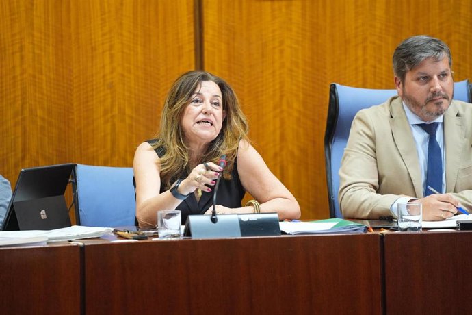 La Consejera De Desarrollo Educativo Y Formación Profesional, María Del Carmen Castillo, En La Comisión Parlamentaria Del 17 De Junio De 2025.