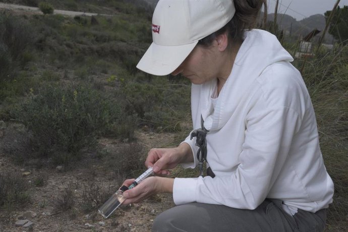 Una de las investigadoras del CSIC en este proyecto