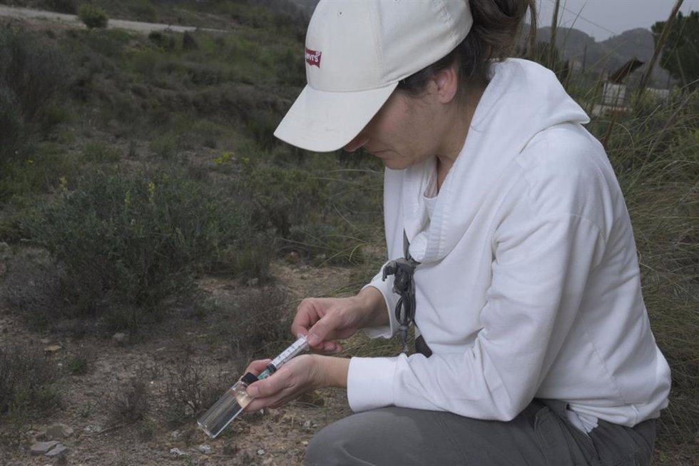Una de las investigadoras del CSIC en este proyecto