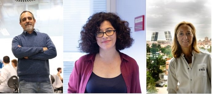 Centro Nacional de Investigaciones Cardiovasculares (CNIC)