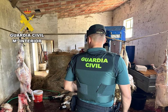 Mataderos ilegales descubiertos en Las Merindades (Burgos).