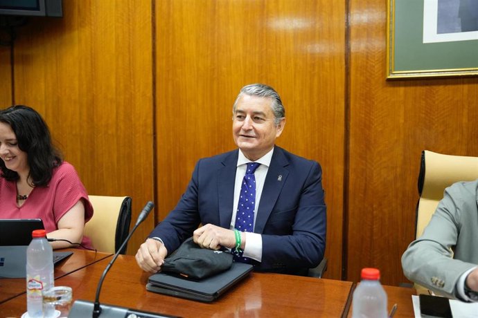 El consejero de la Presidencia, Antonio Sanz, este martes durante su comparecencia parlamentaria en comisión.