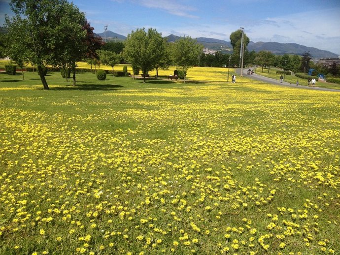 El Ayuntamiento de Bilbao traslada recomendaciones para evitar la propagación y picaduras de mosquito tigre y garrapata.
