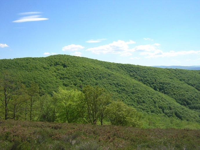 Archivo - Parque Natural del Gorbea