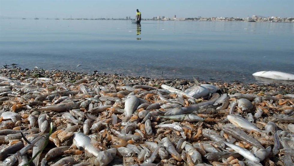Mar Menor, 2019.