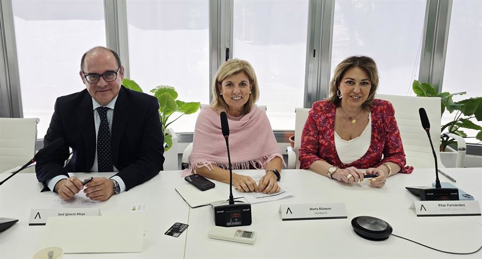 Faconauto propone un plan nacional de renovación de flotas ligado a emisiones