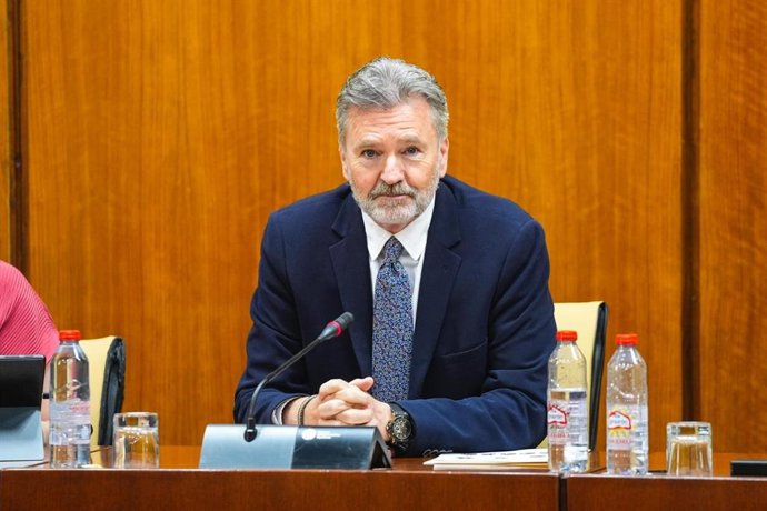 El presidente del Consejo Audiovisual de Andalucía, Domi del Postigo, ha presentado ante el Parlamento regional el informe.