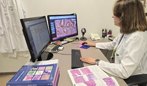 Es Andalucía - Granada