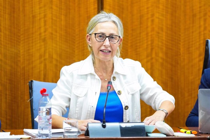 La consejera de Salud y Consumo, Rocío Hernández, en comisión parlamentaria el 17 de junio de 2025.