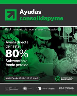 Cartel ayudas Consolidapyme
