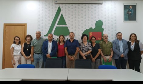 Comunicados Empresas