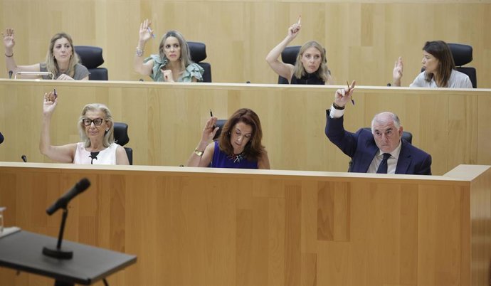 Sesión plenaria del mes de junio en la Diputación de Málaga